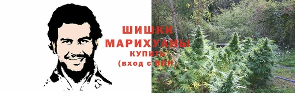 MESCALINE Горно-Алтайск