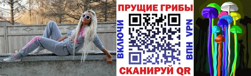 Галлюциногенные грибы Cubensis  Орехово-Зуево 